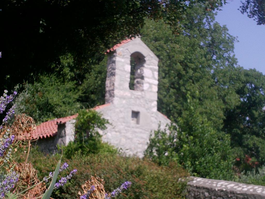 Cajic