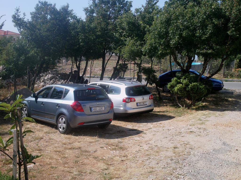 Cajic * Povile